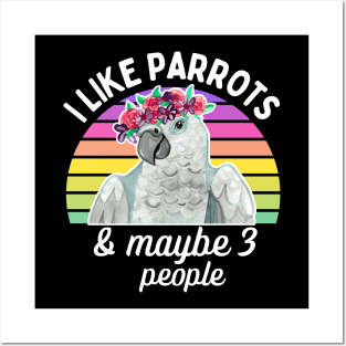 I Like African Grey Parrots and Maybe 3 People Posters and Art